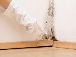 Best Environmental Consulting for Mold Prevention  in Chillicothe, MO